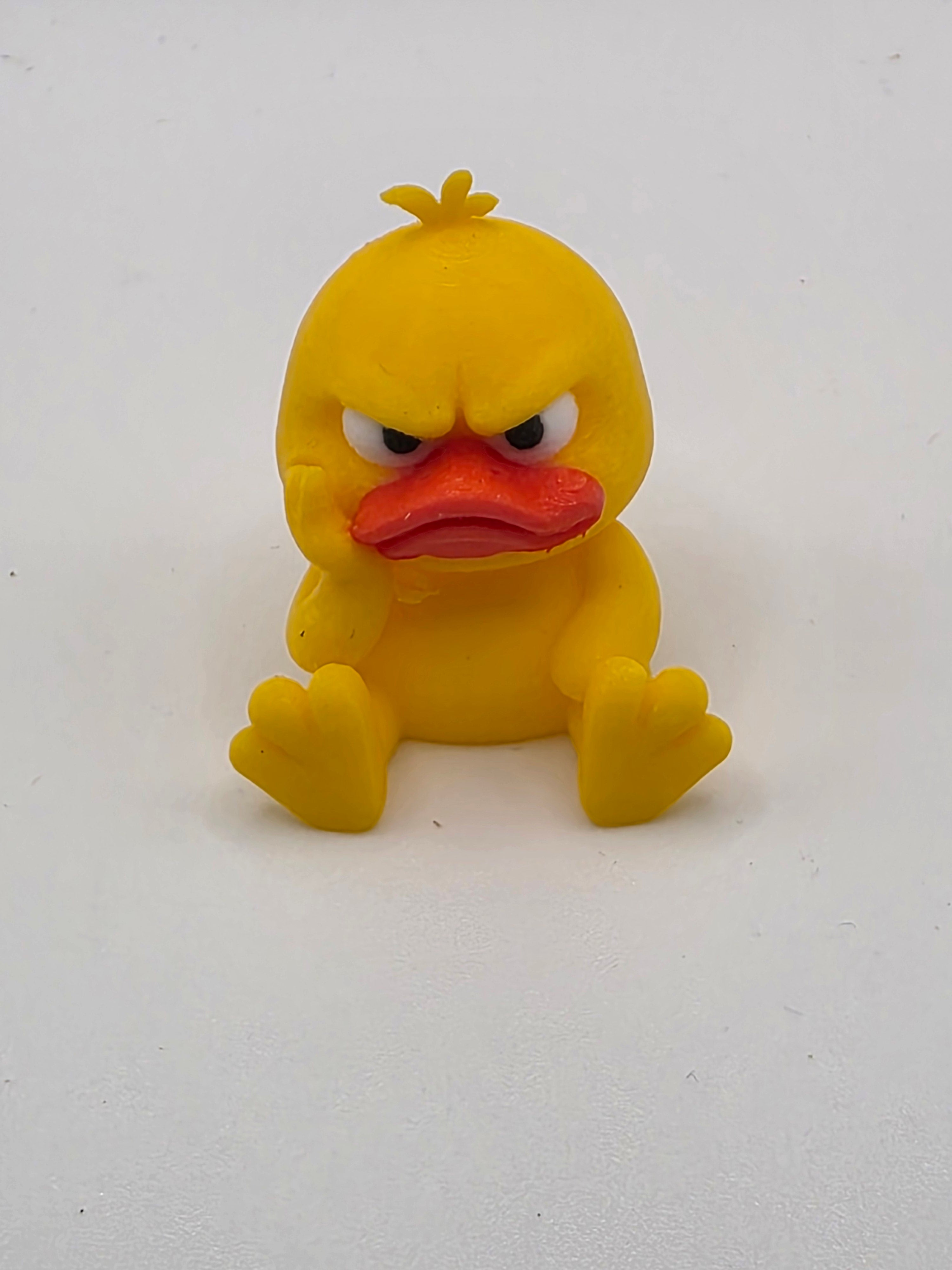 Grumpy Duck – Small, Cute &amp; Full of Attitude!